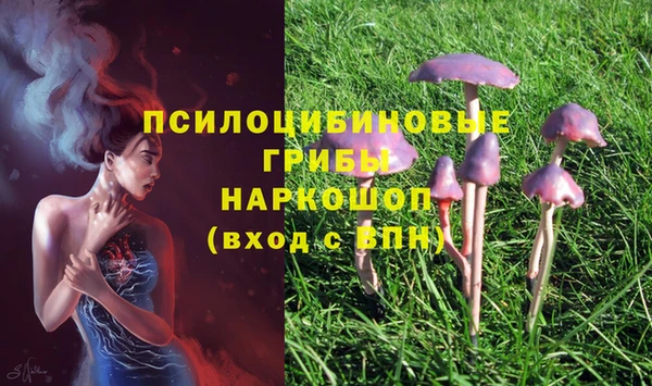 СК Нея