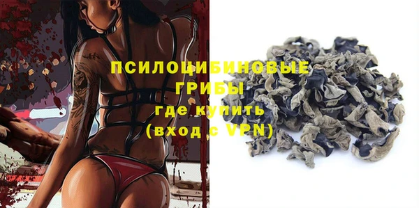 трава Надым