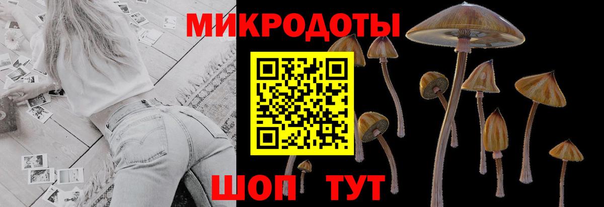 Псилоцибиновые грибы мицелий Уфа